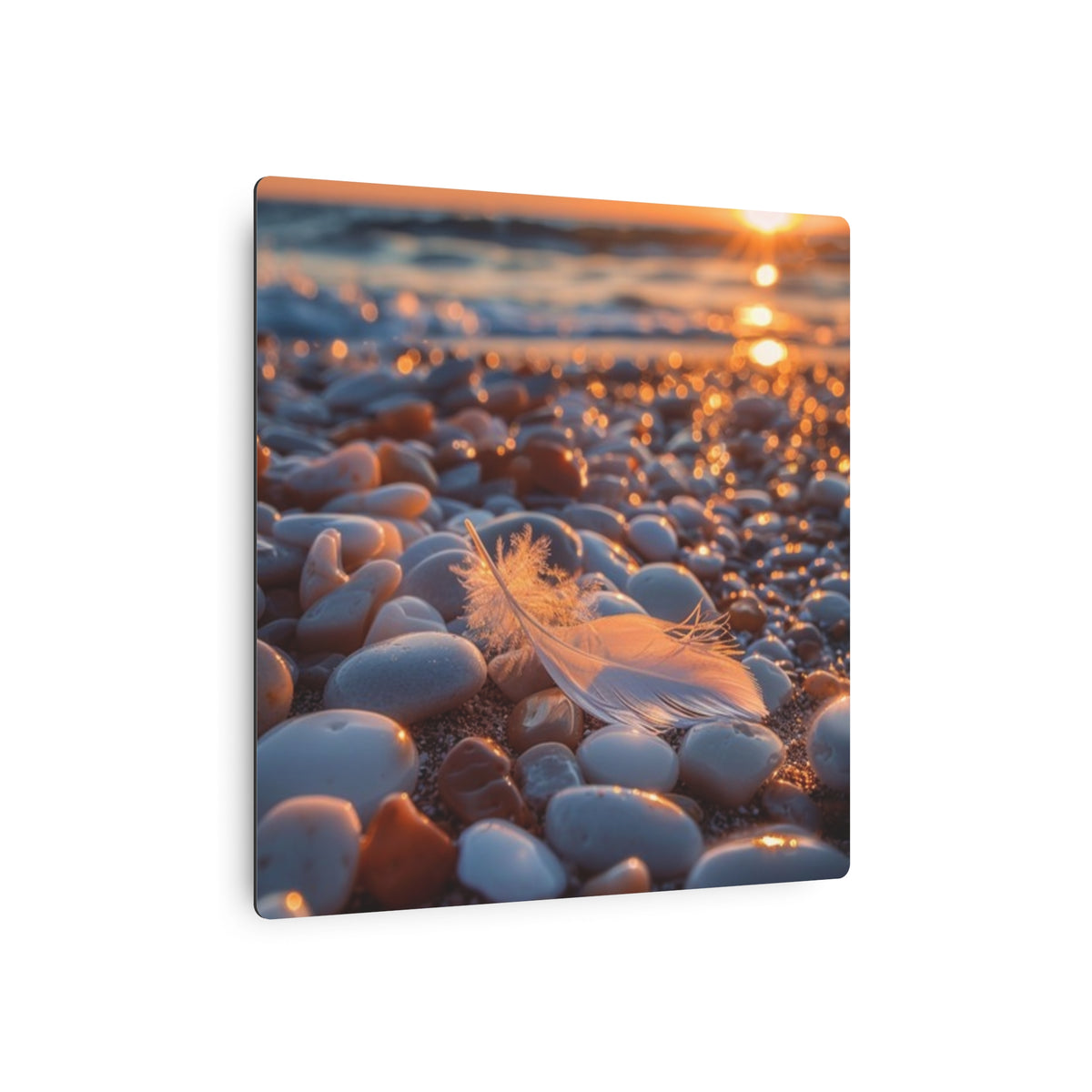 Tranquil Feather on Beach Stones