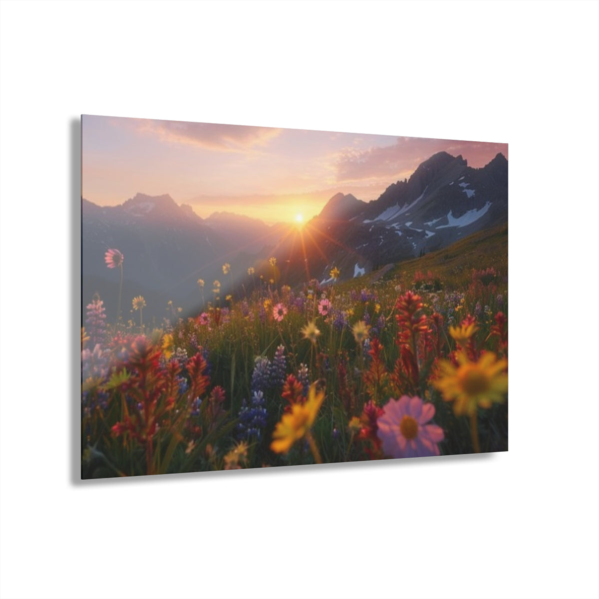 Mountain Meadow Wildflowers at Sunset Acrylic Prints (French Cleat Hanging)