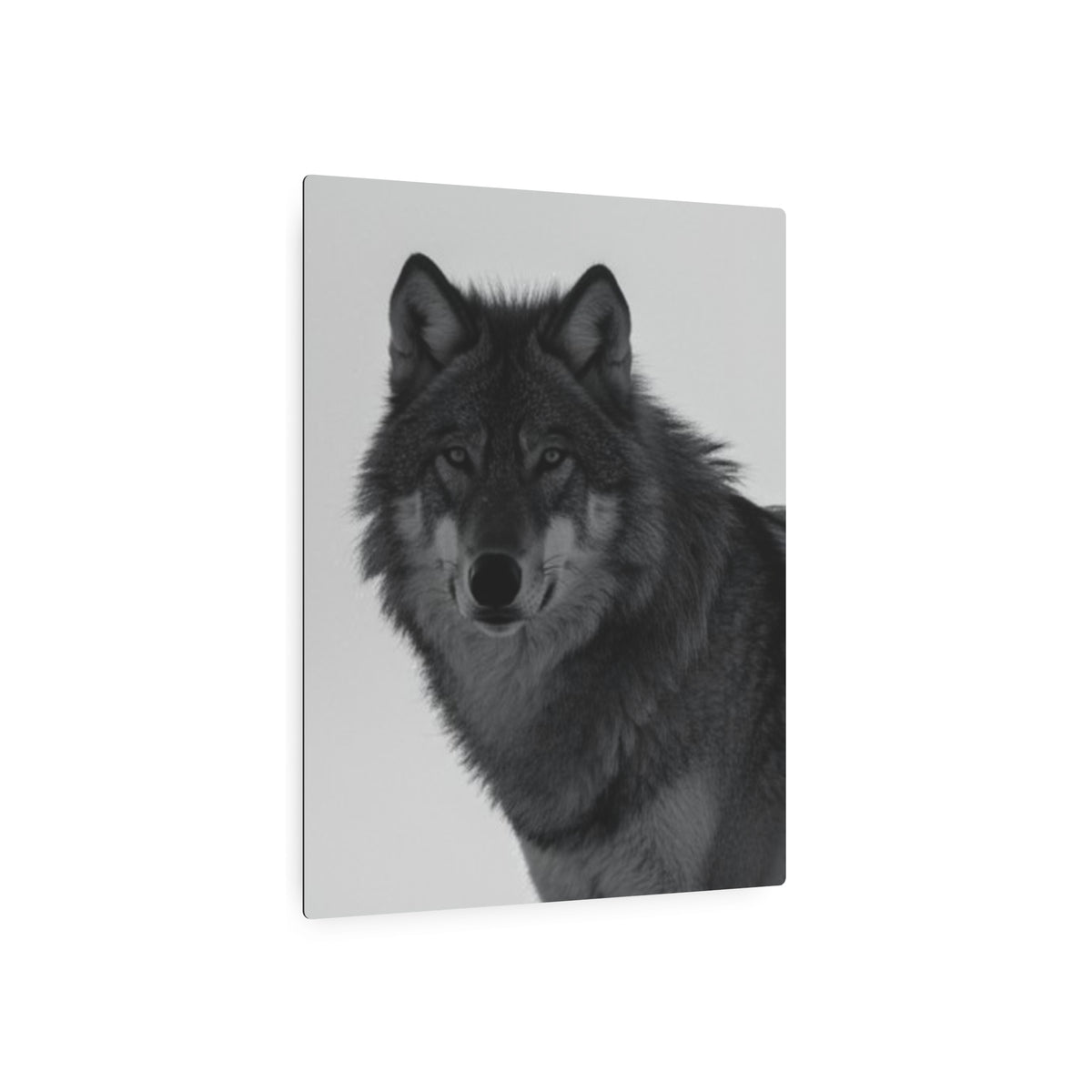 Wolf Portrait
