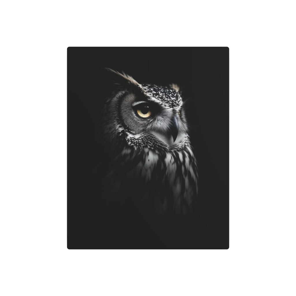 Great Horned Owl Portrait