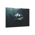 Great White Shark Portrait