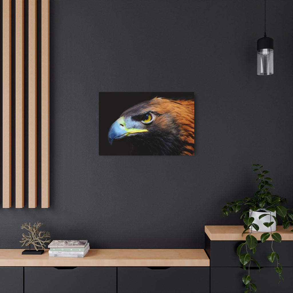 Golden Eagle Portrait