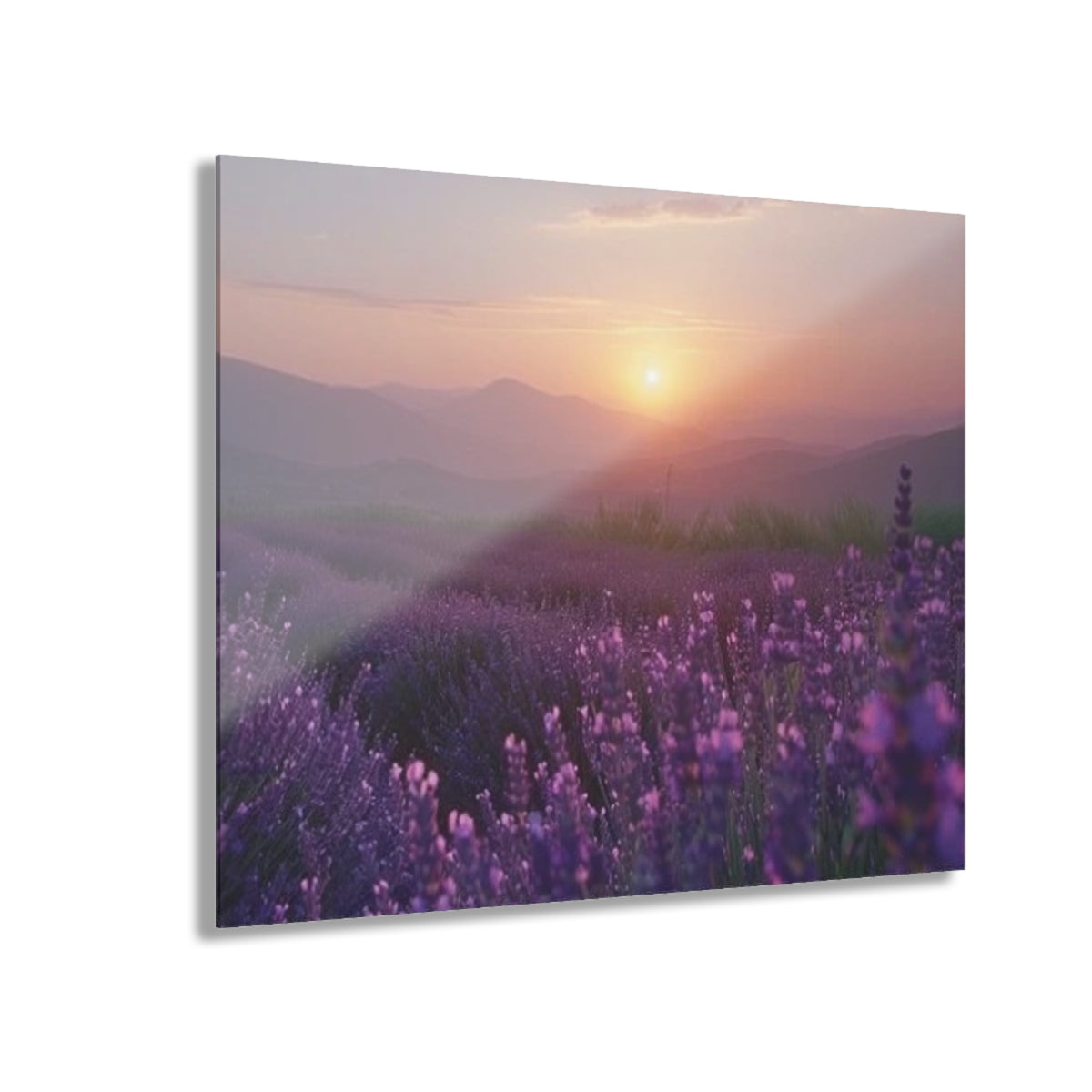 Wild About Lavender Acrylic Prints (French Cleat Hanging)