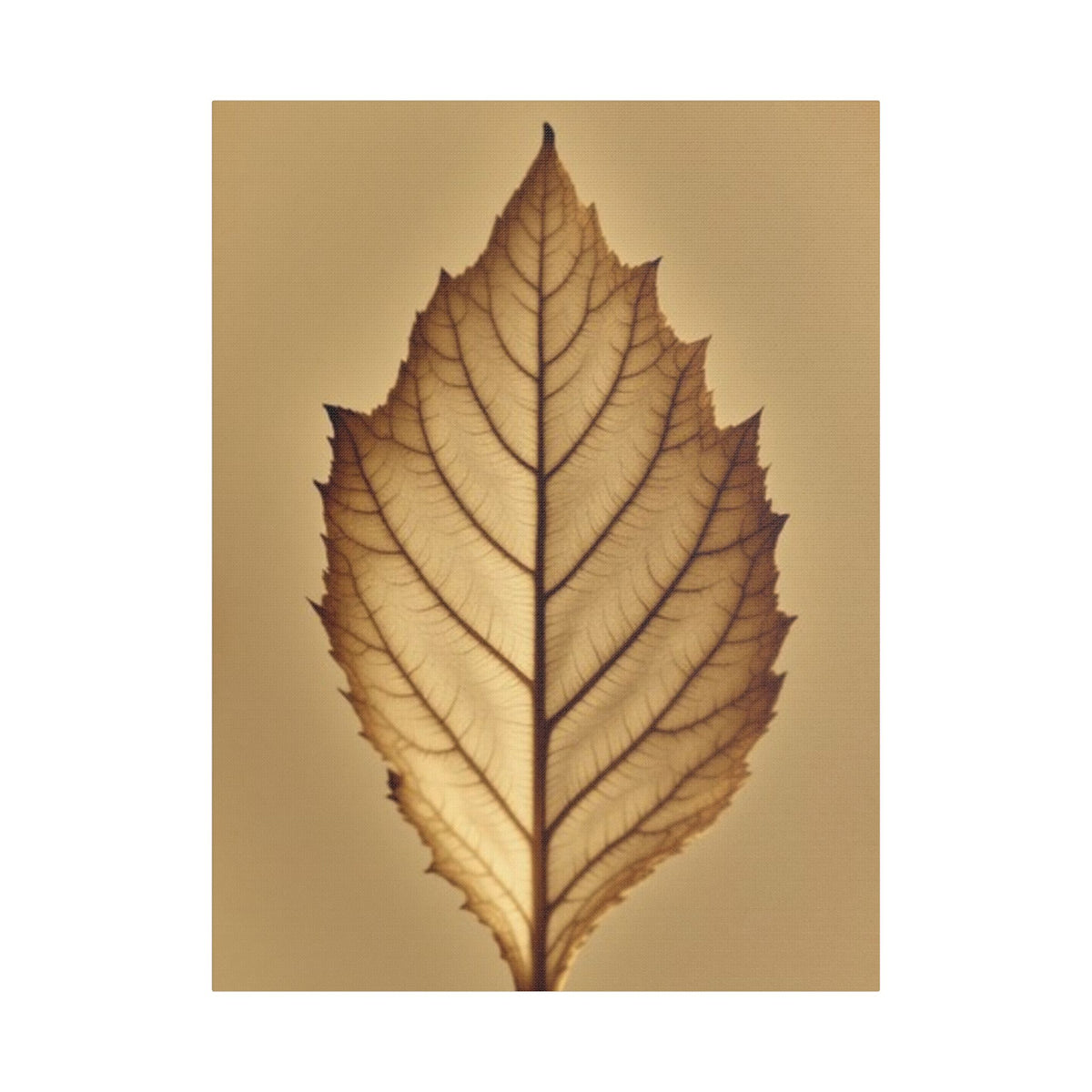 Soft Sepia Leaf Satin Canvas, Stretched
